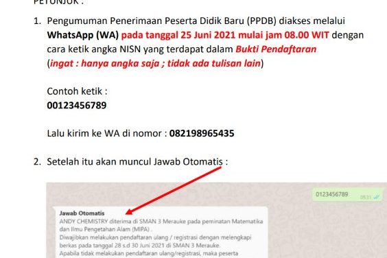 petunjuk hasil seleksi ppdb